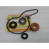 WATER PUMP KITS